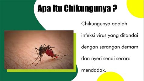 Penyakit Chikungunya Disebabkan Oleh Homecare