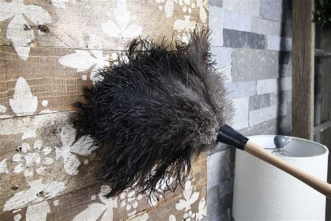 How To Properly Use A Feather Duster The Creek Line House