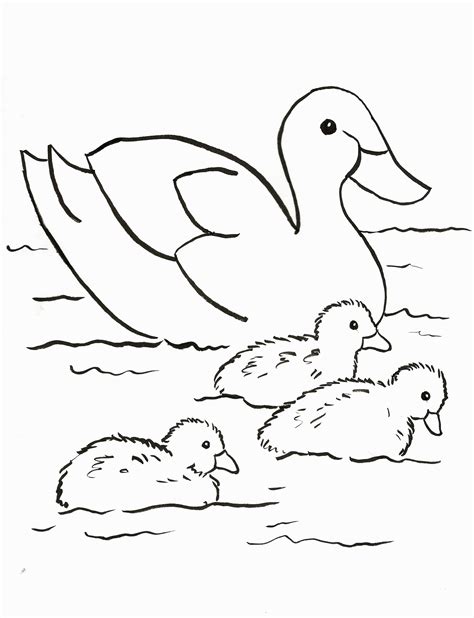 Cute Baby Duck Coloring Pages - Coloring Home