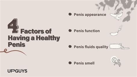 A Complete Guide For Having A Healthy Penis Upguys