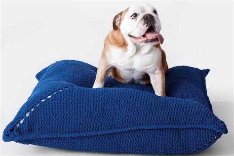 So Easy Crochet Pet Bed