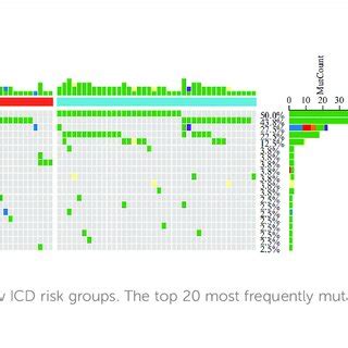 The Characterization Of Immune Landscape In Different ICD Clusters