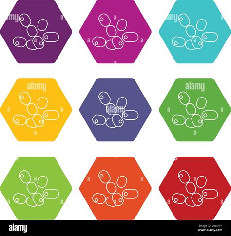 Coccus Bacilos Iconos Vector Set 9 Imagen Vector De Stock Alamy