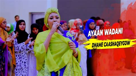 Ayaan Wadani Best Songs Dhayaha Ku Koriyo Official Video Youtube