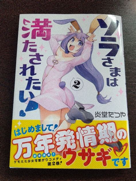 ソラさまは満たされたい！（2）購入20230628 九尾の狐の創作活動記