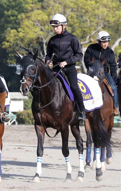 【天皇賞・春】タイトルホルダー絶好3番枠 栗田調教師「最善を尽くしたい」 Umatoku 馬トク