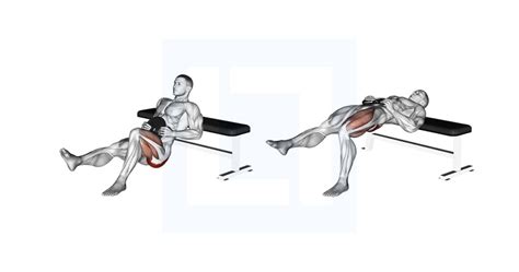 Frog Hip Thrust Guide Benefits And Form