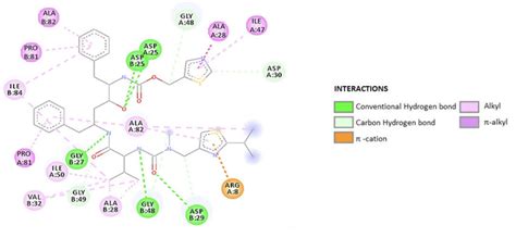 D Diagram Representing The Links Between Ligand And Protein