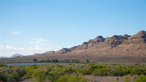 Key Pittman Wildlife Management Area | Nevada Wildlife