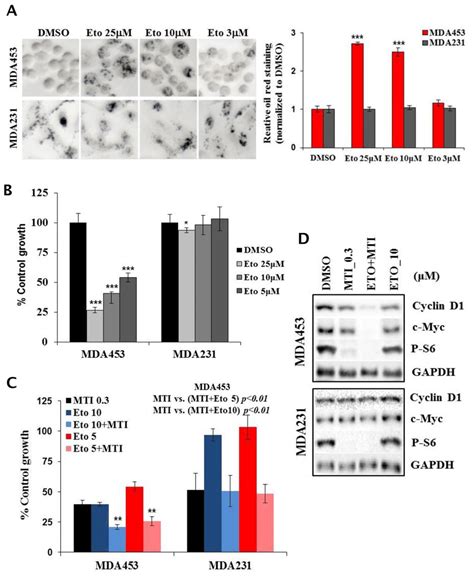 Cpt1a Inhibitor Selectively Blocks Lipid Catabolism And Growth In Download Scientific Diagram