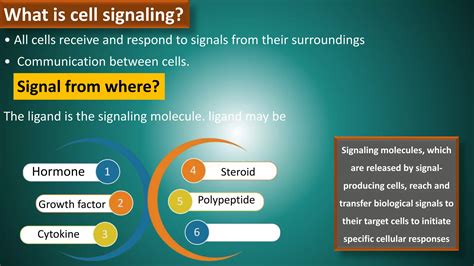 Cell signaling Part-1 | PPT