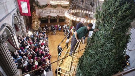 Photos: Biltmore Christmas tree arrives