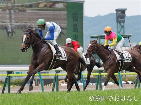 【福島6r2歳新馬】ゴールドヘイロー産駒 スティルネスが力でねじ伏せる その他競技 スポーツブル スポブル