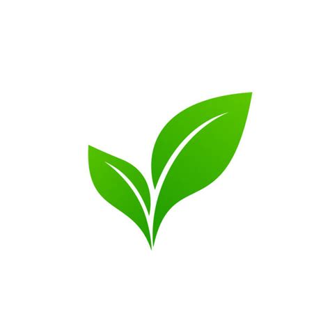 Green Plant Logo Illustrations Royalty Free Vector Graphics And Clip Art