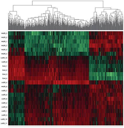 Heat Map Unsupervised Showing Hierarchical Clustering Of Gene Download Scientific Diagram