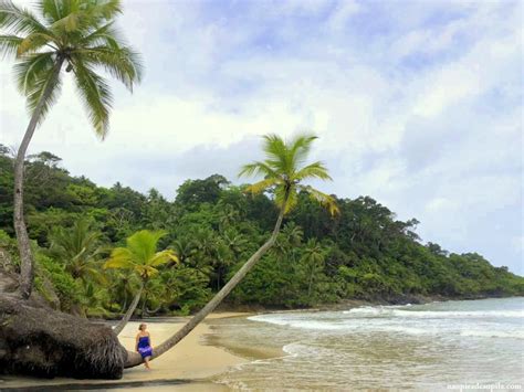 O Que Fazer Em Itacar Dicas E Roteiro Do Destino Baiano De Todas As