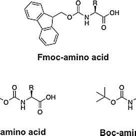 Effects Of Fmoc Amino Acids On A BChE And B AChE Activities The