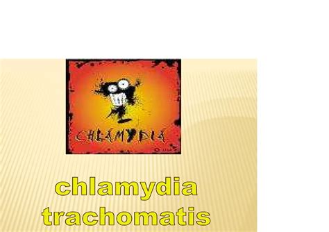 Chlamydia Bacteriologia Basica PPT