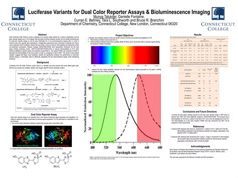 Luciferase Variants For Dual Color Reporter Assays Bioluminescence