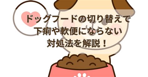 ドッグフードの切り替えで下痢や軟便にならない対処法を解説！食べない、ウンチがゆるいと失敗しないために期間は2週間を目安にしよう わんこ幸せガイド