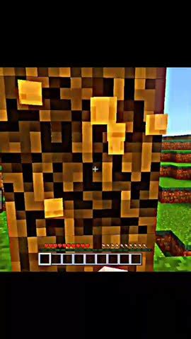 O Mano Est Jogando Minecraft Na Vida Real Shorts Youtube