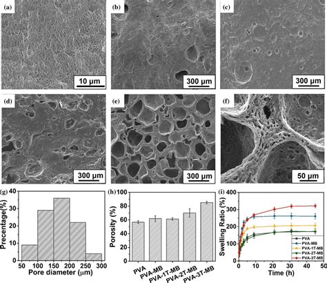 The Sem Micrographs Of Cross Sectional Morphology Of Pure Pva Hydrogel