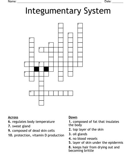 Integumentary System Crossword WordMint