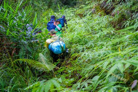 Chinh phục đỉnh Chư Yang Sin nóc nhà Đak Lak Mây Adventure