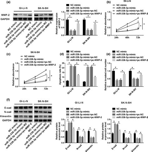 MiR 338 3p Inhibits Cell Growth Invasion And EMT Process In