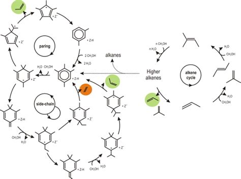 First Principle Kinetic Study On Active Olefin Formation Cycles During