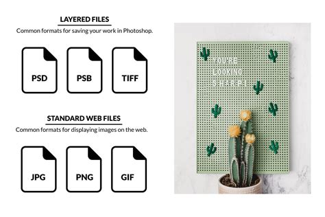 Image File Formats In Photoshop Explained