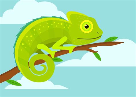 Cute Chameleon Drawings