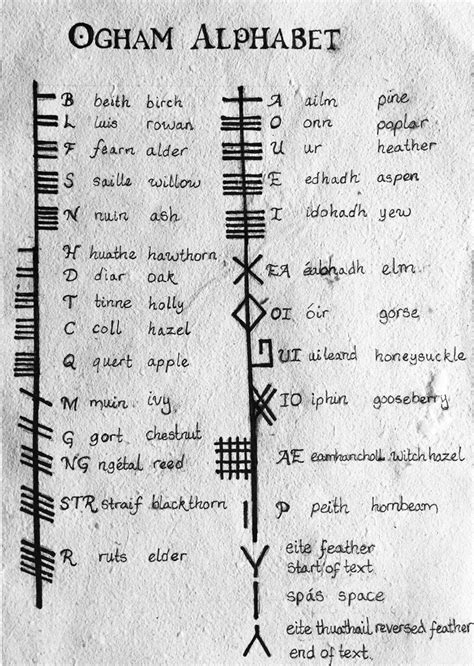 Ogham tattoo – Artofit