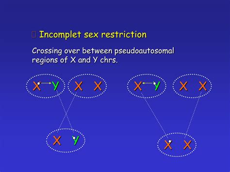 Ppt Determination Of Sex Powerpoint Presentation Free Download Id9305880