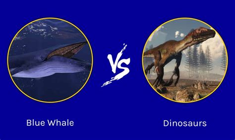 Blue Whale Vs Dinosaurs Whos Bigger A Z Animals