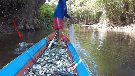 Malam Hari Nombak Ikan Siang Menjala Youtube