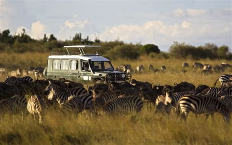 Best Amboseli National Park Campsites & Lodging