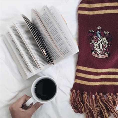 43 Best images about Harry Potter Aesthetics on Pinterest | Ravenclaw ...