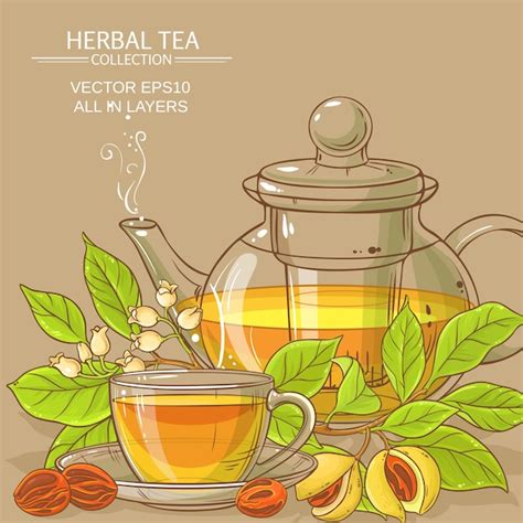 Ilustración de té de nuez moscada Vector Premium