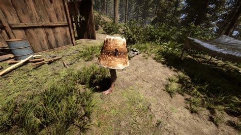 Sons Of The Forest Beinlampe Finden Und Herstellen