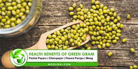 Health Benefits And Medicinal Uses Of Green Gram