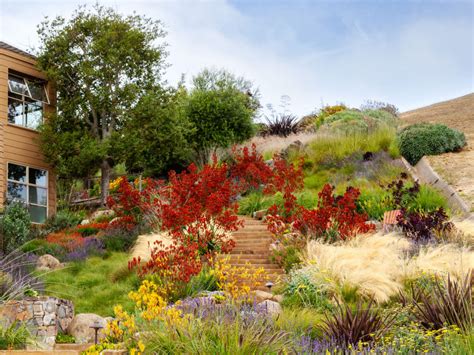 5 Xeriscaping Myths, Debunked - 5280