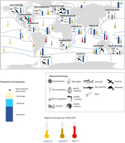 Global Distribution Of Marine Ecological Impacts Across Ocean