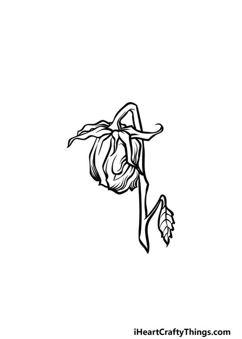 Dead Flower Drawing - How To Draw A Dead Flower Step By Step