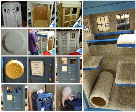 Awesome Cat Play House Diy Cat House Diy Cat Playhouse