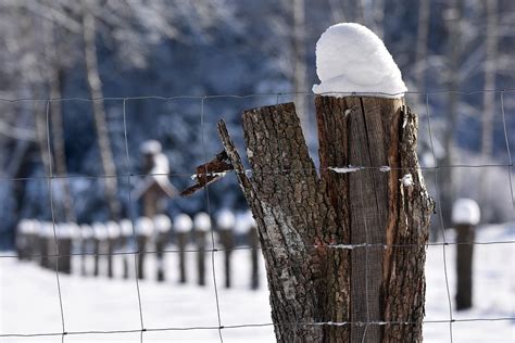 Zaun Stumpf Schnee Kostenloses Foto Auf Pixabay Pixabay