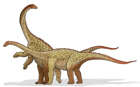 Saltasaurus Pictures & Facts - The Dinosaur Database