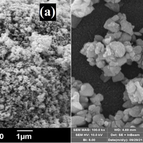 FTIR Spectra Of NPs And Betaine A FTIR Of Zinc Oxide ZnO