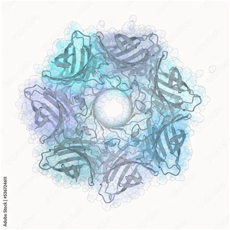 3d Structure Of A Dna Sequencing Nanopore Protein Alpha Hemolysin From Staphylococcus Aureus