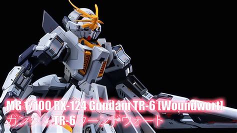 Mg Rx Gundam Tr Woundwort Custom Build Tr